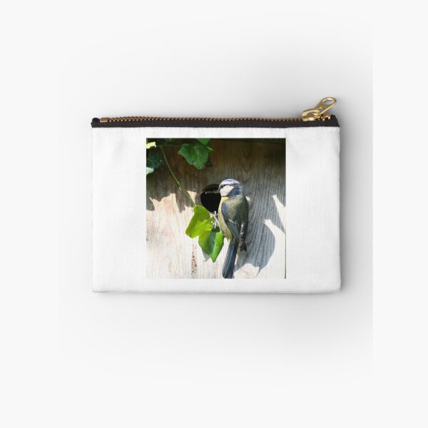 Item preview, Blue Tit With Food. designed and sold by prestongeorge.