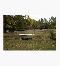 Down Home Photographic Print