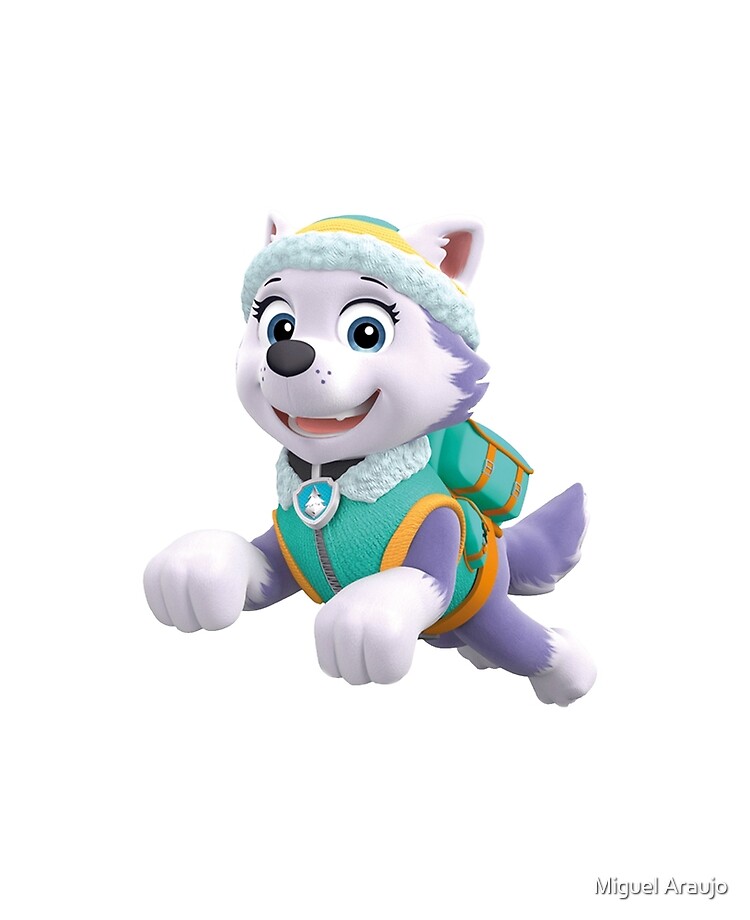 paw patrol everest