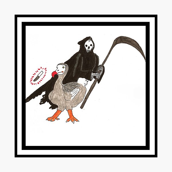 The Dodo! Photographic Print