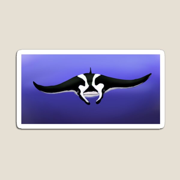Who? Manta Ray! Magnet