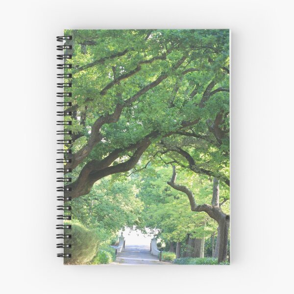 Item preview, Tree Umbrella designed and sold by Chantelle Benade.