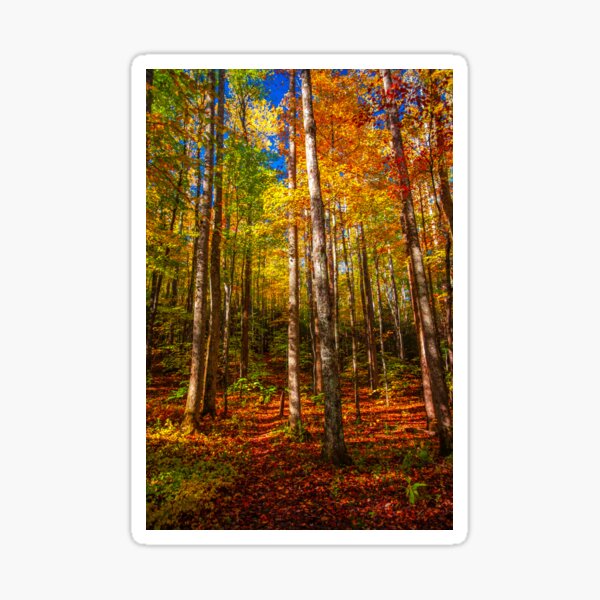 Smoky Mountain Stained Glass Sticker