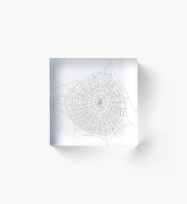 Spider web #Spider #web #SpiderWeb #illustration #chalkout #arachnid #web #pattern #outline #design #vector #webtogether #abstract #art #geometry #sunshade #shape #horizontal #whitecolor Acrylic Block