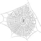Spider web #Spider #web #SpiderWeb #illustration #chalkout #arachnid #web #pattern #outline #design #vector #webtogether #abstract #art #geometry #sunshade #shape #horizontal #whitecolor by znamenski