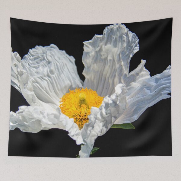 Item preview, White Poppy designed and sold by plantlegend.