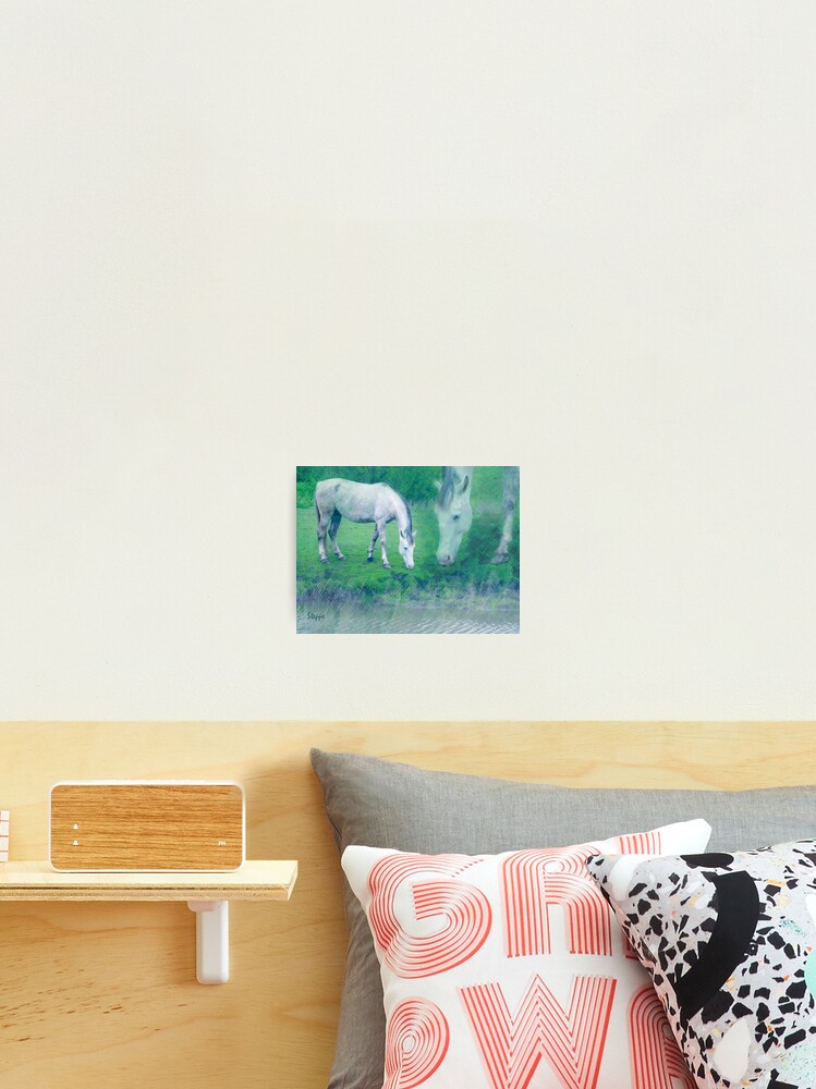 Thumbnail 2 of 3, Photographic Print, White horse 2 designed and sold by steppeland.
