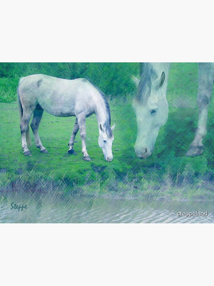 Thumbnail 3 of 3, Photographic Print, White horse 2 designed and sold by steppeland.