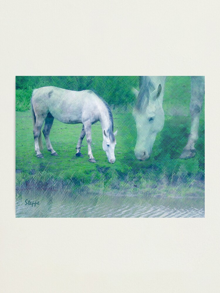Thumbnail 1 of 3, Photographic Print, White horse 2 designed and sold by steppeland.