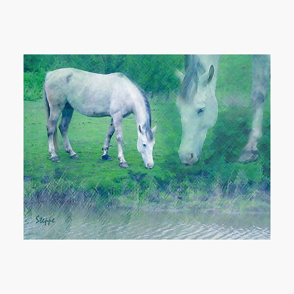 Photographic Print