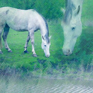 Artwork thumbnail, White horse 2 by steppeland