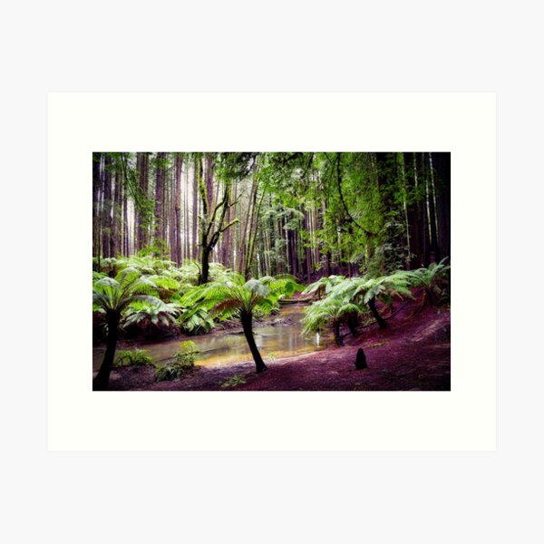 Item preview, Redwood Forest designed and sold by Vicki Johnson.