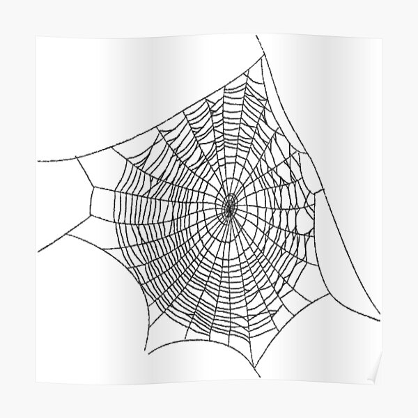 #illustration #chalkout #arachnid #web #pattern #outline #design #vector #webtogether #abstract #art #geometry #sunshade #shape #horizontal #whitecolor #blackandwhite #monochrome #bright #copyspace Poster