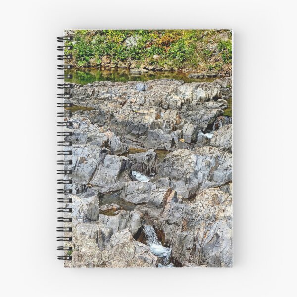 Item preview, Shut-Ins State Park Study 4  designed and sold by Robert Meyers-Lussier.