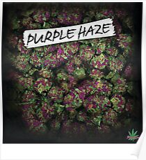 My Kush Weed Purple Haze Cannabis design Floral hemp marijuana Poster