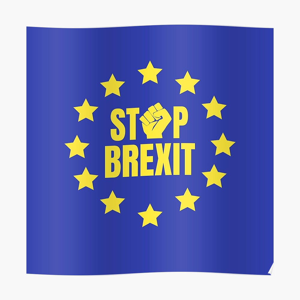 European Union T Shirt EU Flag Brexit Euro Stars Remain Gift Kids Children Top
