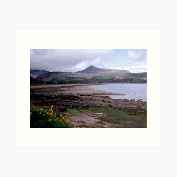 Item preview, Daffodils, Isle Of Arran, Scotland designed and sold by MagsWilliamson.