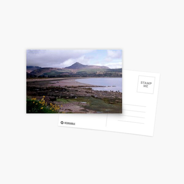 Item preview, Daffodils, Isle Of Arran, Scotland designed and sold by MagsWilliamson.