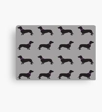 Black Sausage Dogs Pink Collar Canvas Print