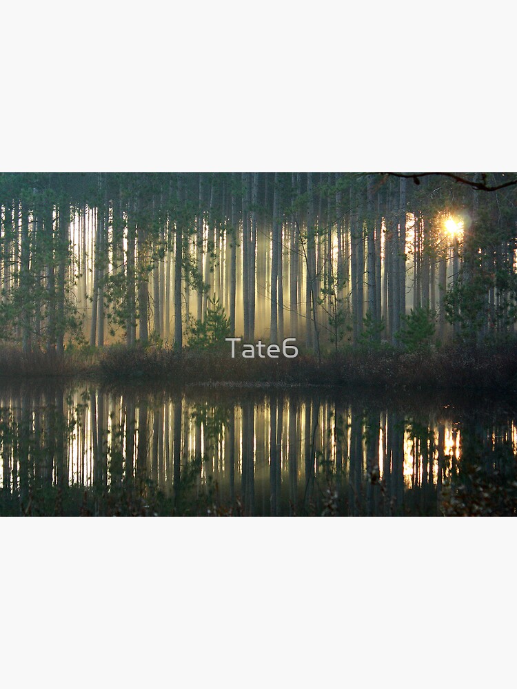 Echo~Totogatic Park, Minong, Wisconsin by Tate6