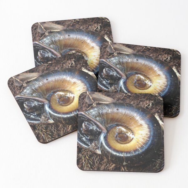 Item preview, Snail Shell designed and sold by Ovahill.