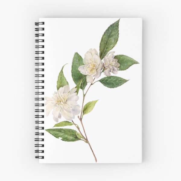 Item preview, Camellia - Flowering Botanical  designed and sold by Stephanie Law.