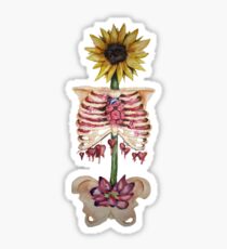Personal Growth Sticker
