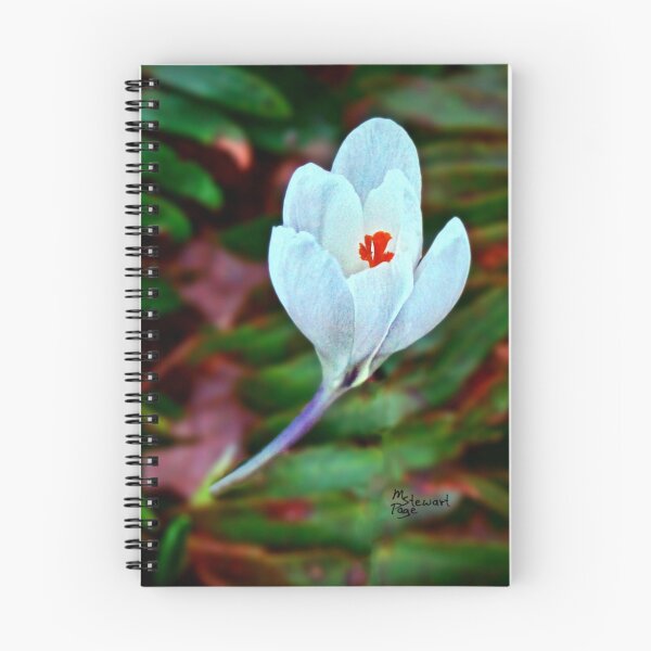 Item preview, "Night, Night, Sleep Tight" designed and sold by Melinda Stewart Page.