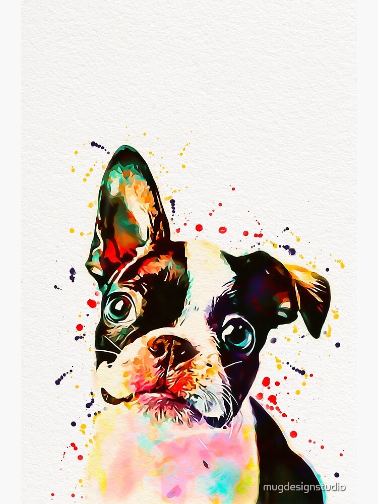 Thumbnail 3 of 3, Poster, Boston Terrier Watercolor designed and sold by mugdesignstudio.