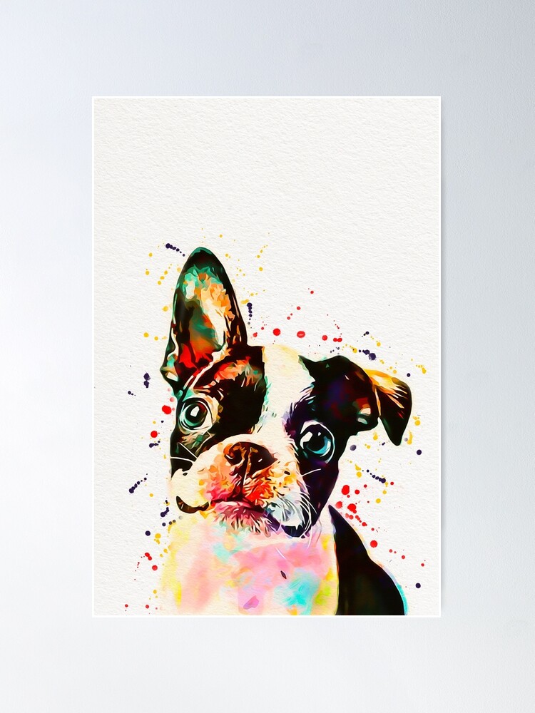 Thumbnail 1 of 3, Poster, Boston Terrier Watercolor designed and sold by mugdesignstudio.