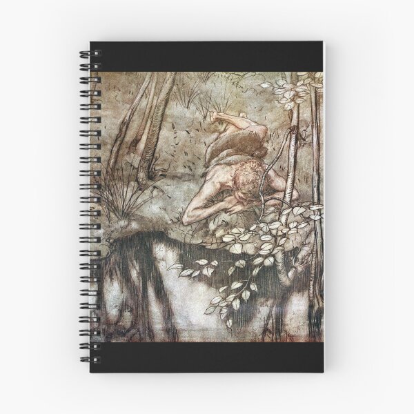 Item preview, Siegfried - Siegfried looks at his Reflection (Rackham) designed and sold by ArtHistorical.
