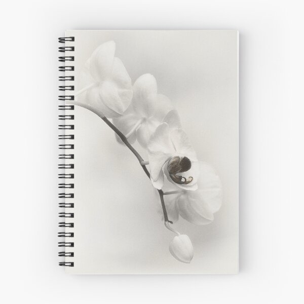 Item preview, White Delight designed and sold by Dianne English.