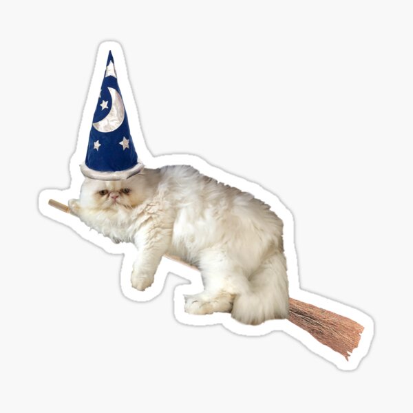 Wizard Persian Cat Sticker