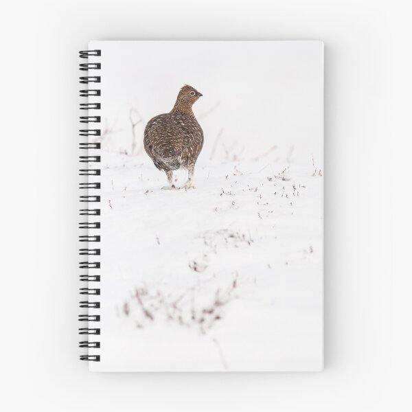Item preview, Snow Grouse designed and sold by kt-photography.