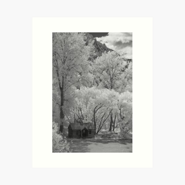 Old Cottage Art Print