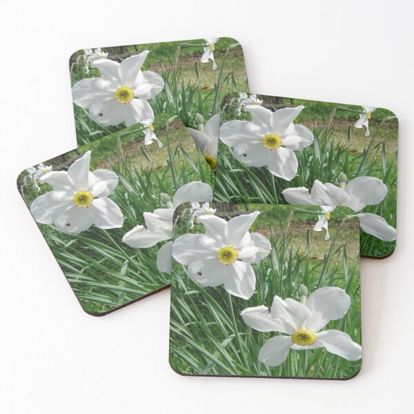 Item preview, Daffodils and friends 6 designed and sold by ellenhenry.
