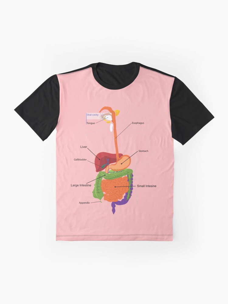 digestive system on t shirt