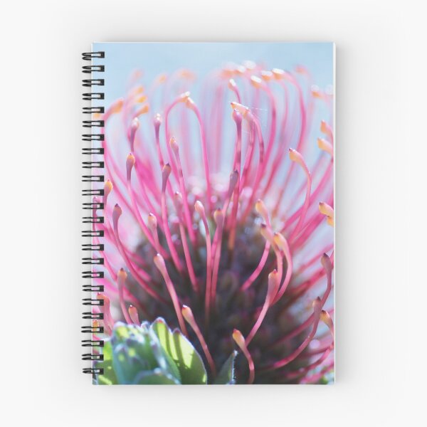 Item preview, Leucospermum Patersonii designed and sold by imaginethis.