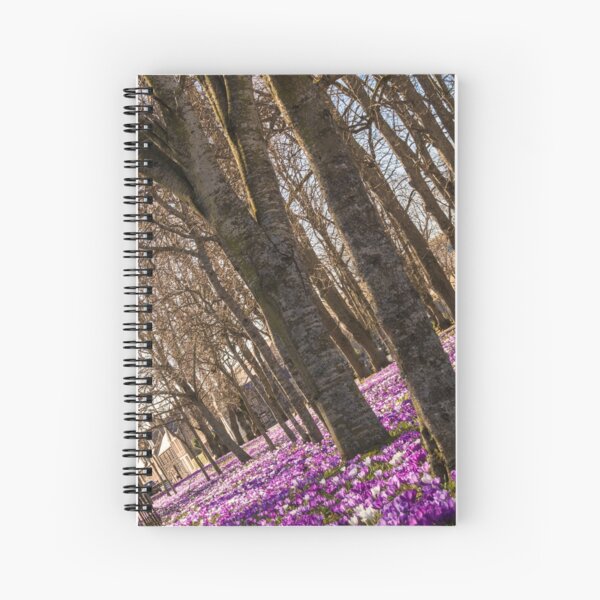 Item preview, Blanket of Crocuses designed and sold by kt-photography.