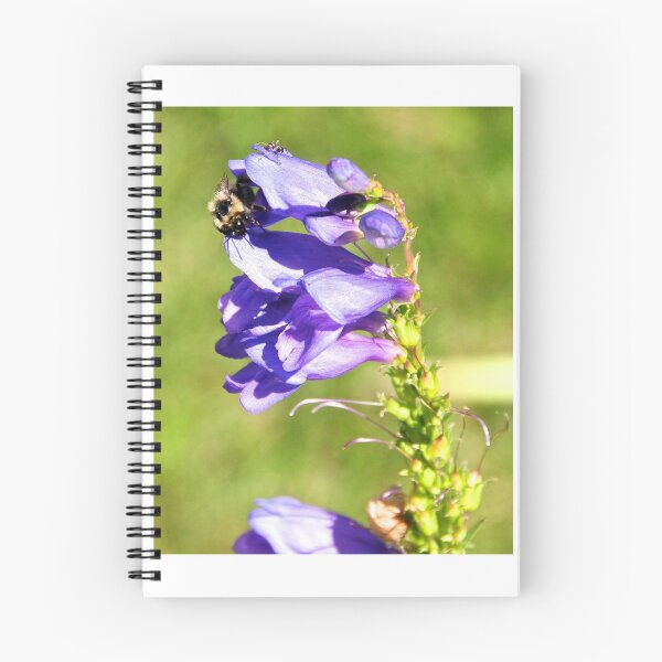 Item preview, Bee Enjoying this Beautiful Purple Flower designed and sold by 2CrabbySisters.
