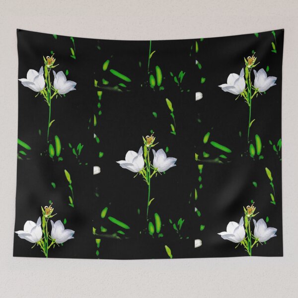 Aperçu de l'œuvre Double White Blossom sur fond noir créée et vendue par 2CrabbySisters.