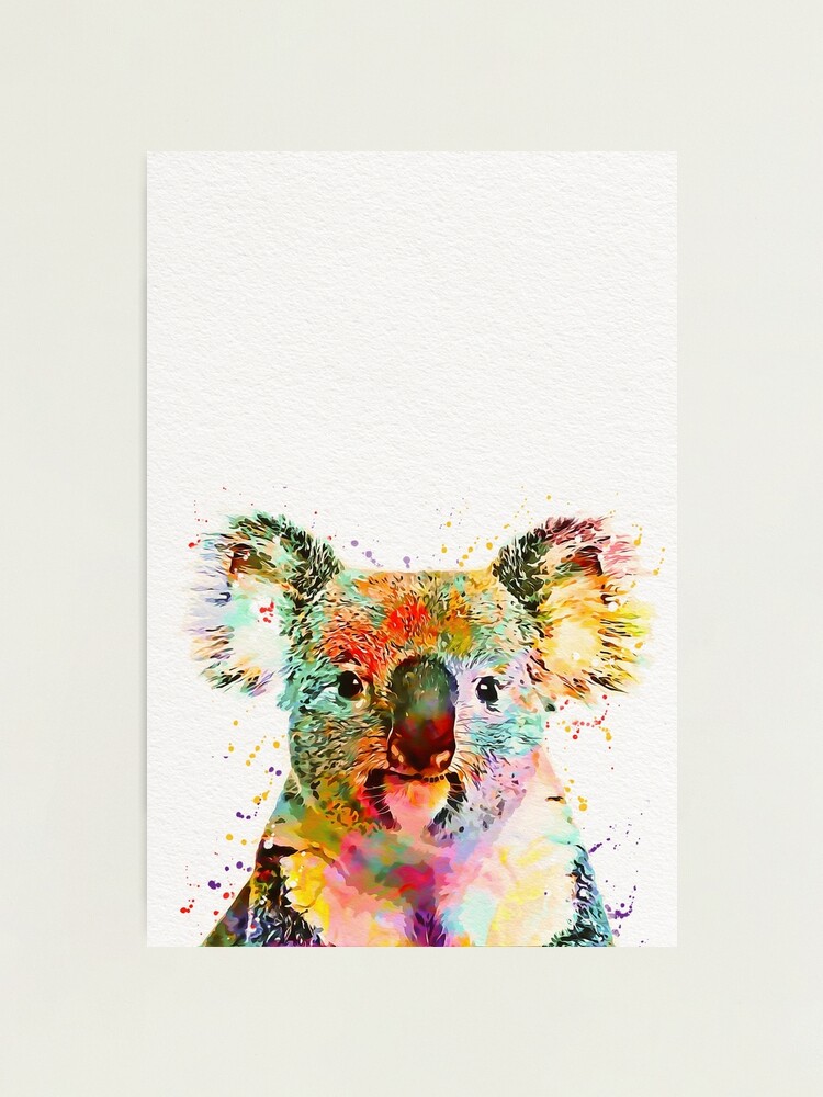 Baby Koala Art Photographic Print for Sale by mugdesignstudio