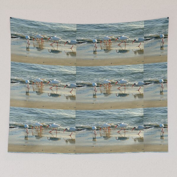 Item preview, White Ibis looking for food on Sanibel Island, FL designed and sold by 2CrabbySisters.