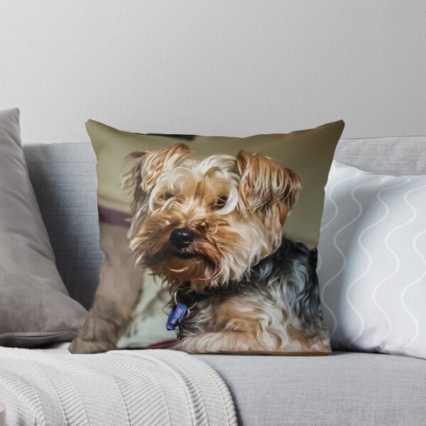 Item preview, Buddy the yorkie designed and sold by chirs1990.