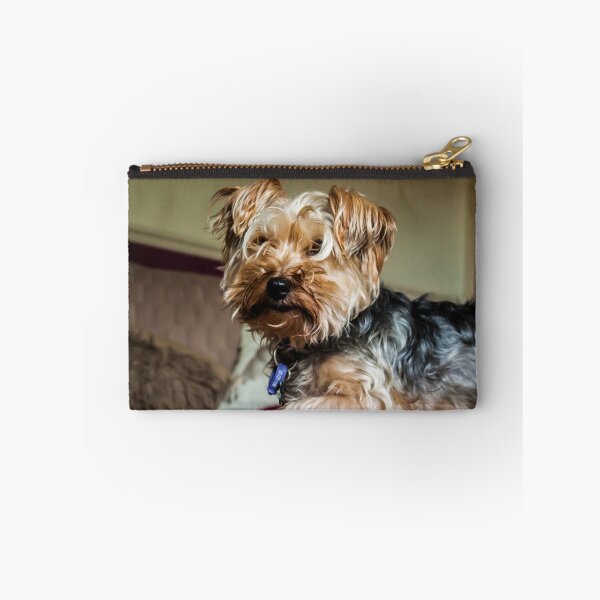 Item preview, Buddy the yorkie designed and sold by chirs1990.