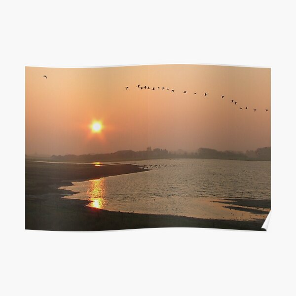 Sunrise over "Tureluur" Poster