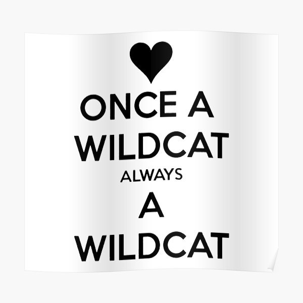 Wildcat Posters Redbubble redbubble