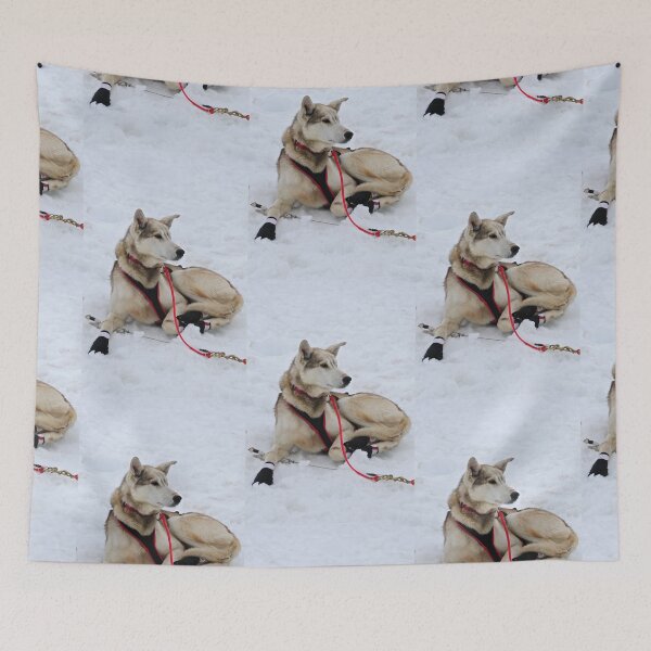 Item preview, Alaskan Sled Dog designed and sold by 2CrabbySisters.