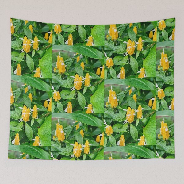 Item preview, Golden Shrimp Plant designed and sold by 2CrabbySisters.