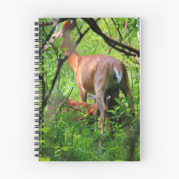 Item preview, Fawn's Feeding designed and sold by Larry Trupp.